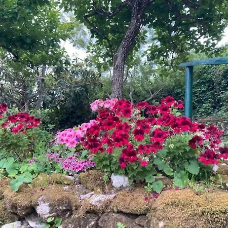 Le Terrazze Di Gio 세노리