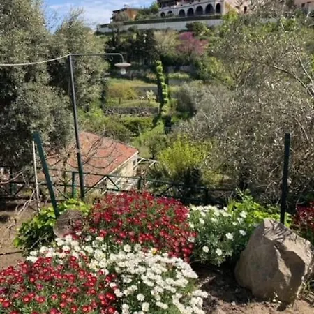 Le Terrazze Di Gio Sennori